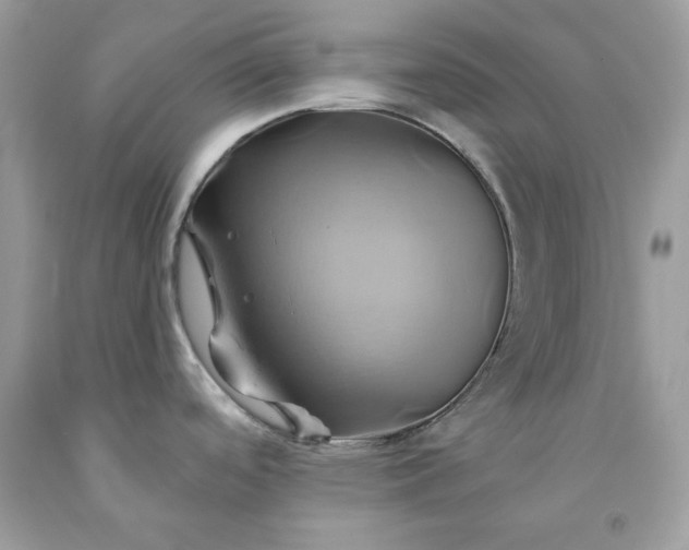 X0000091591488200709051111