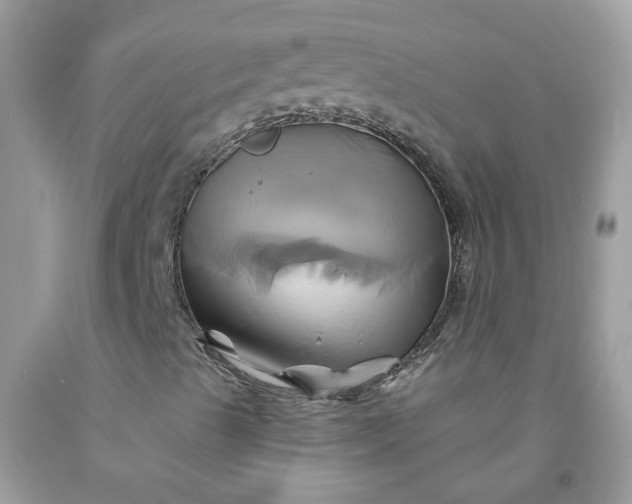 X0000091591489200709051110