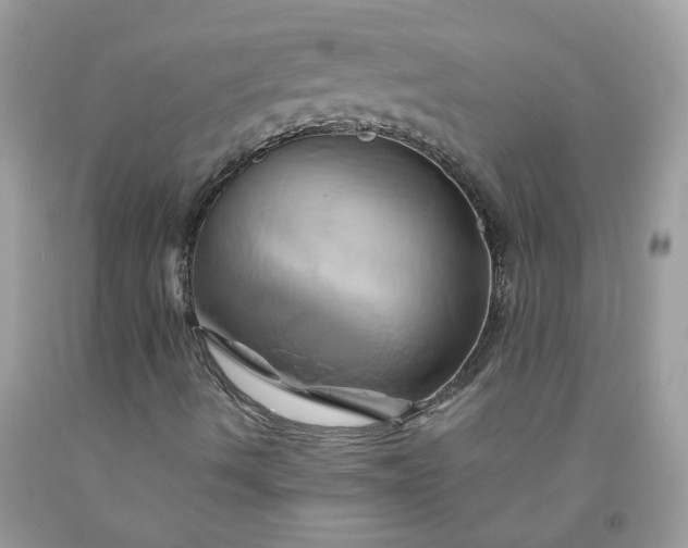 X0000091591490200709051110