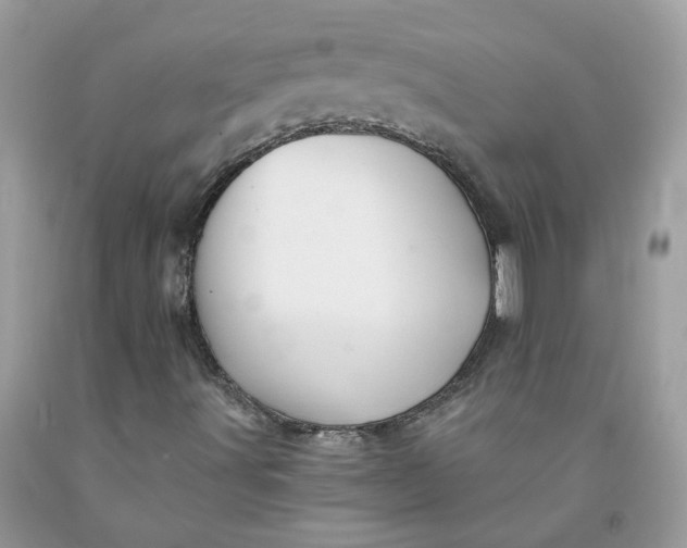 X0000091591491200709051110