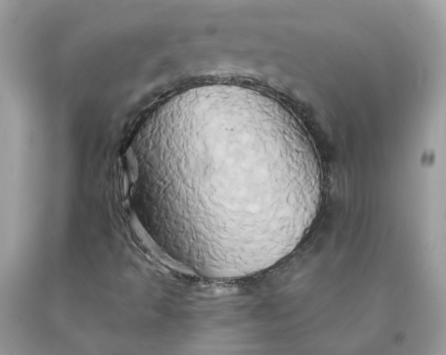 X0000091591493200709051111