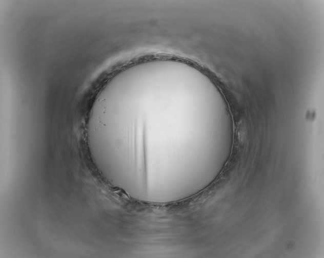 X0000091591495200709051111