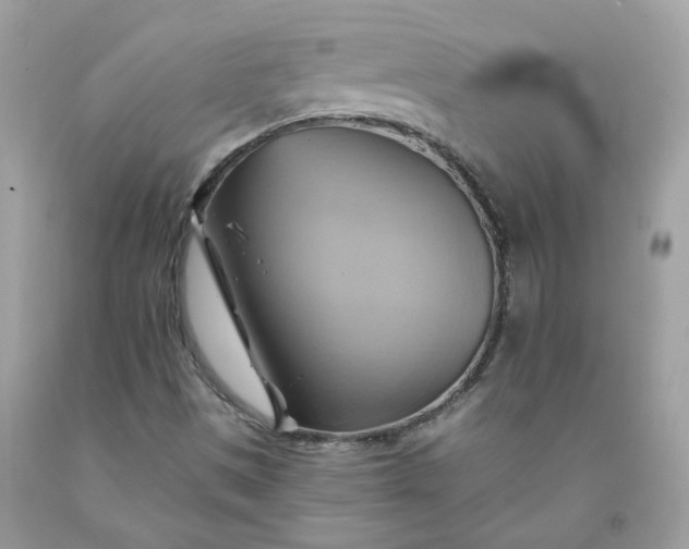 X0000091591497200709051111