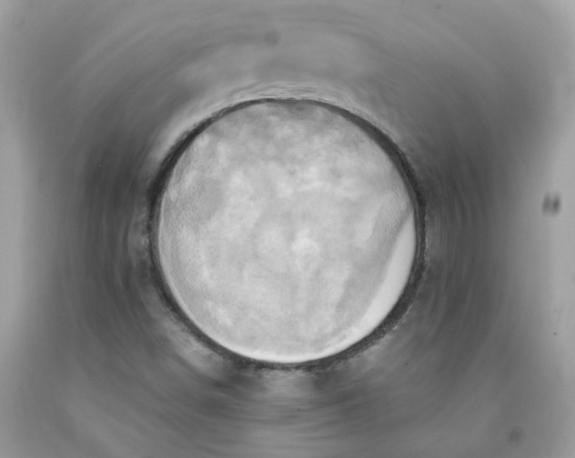 X0000091591498200709051111