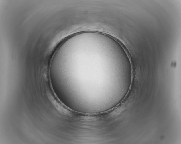 X0000091591499200709051111