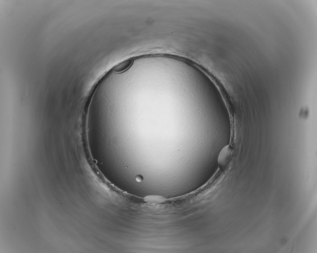 X0000091591500200709051111