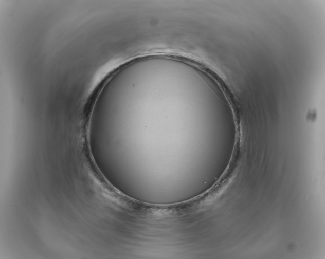 X0000091591501200709051111