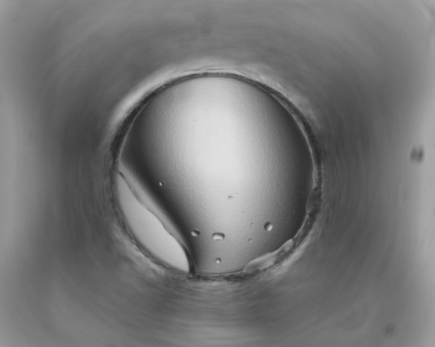 X0000091591502200709051111