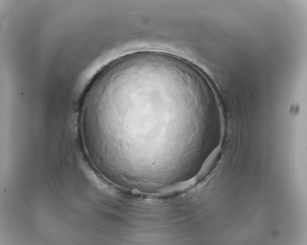 X0000091591503200709051111