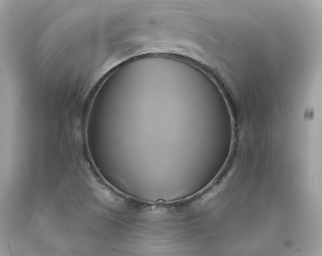 X0000091591505200709051111