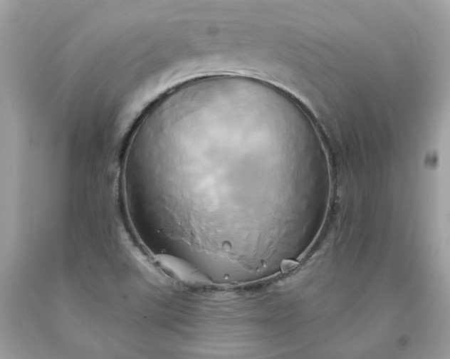 X0000091591507200709051111