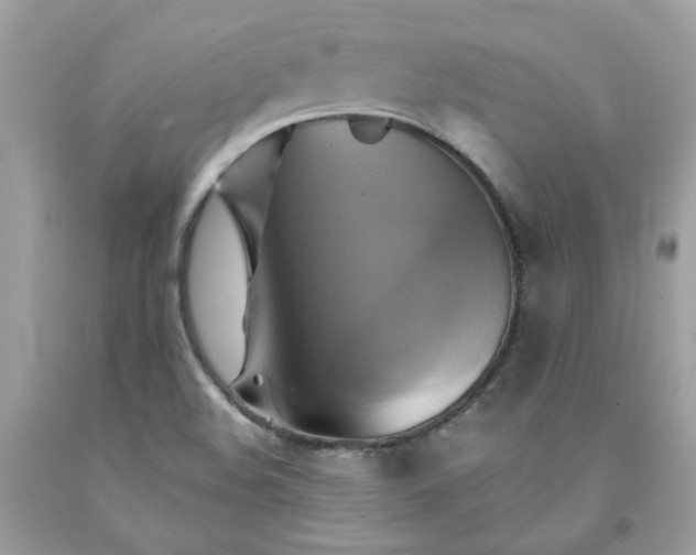 X0000091591508200709051111