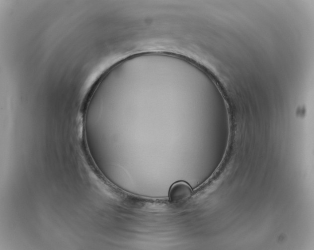 X0000091591509200709051111