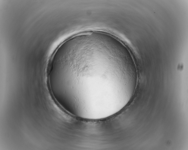 X0000091591512200709051111