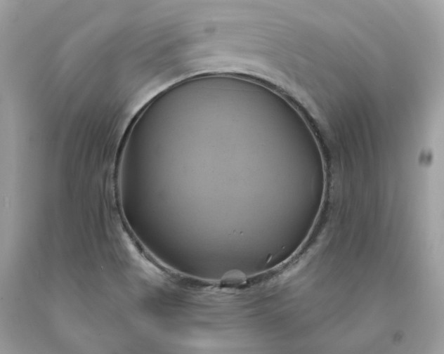 X0000091591513200709051111