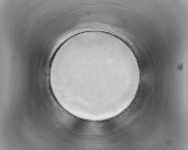 X0000091591514200709051111