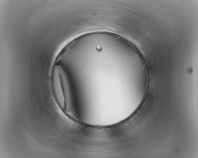 X0000091591516200709051111