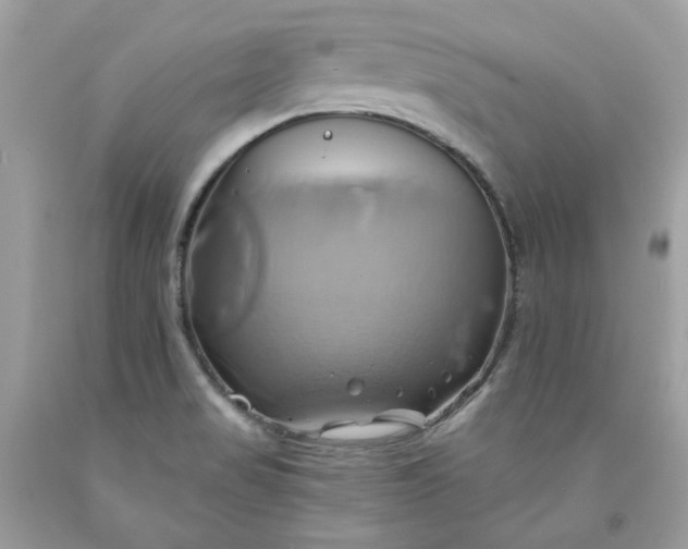 X0000091591517200709051111