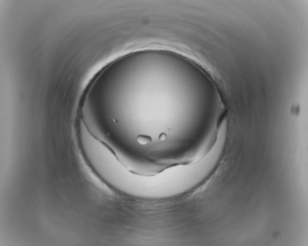 X0000091591518200709051111