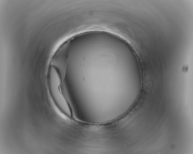 X0000091591519200709051111