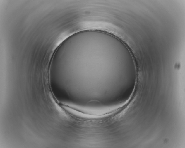 X0000091591521200709051111