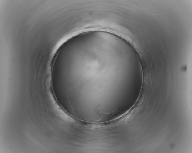 X0000091591522200709051111