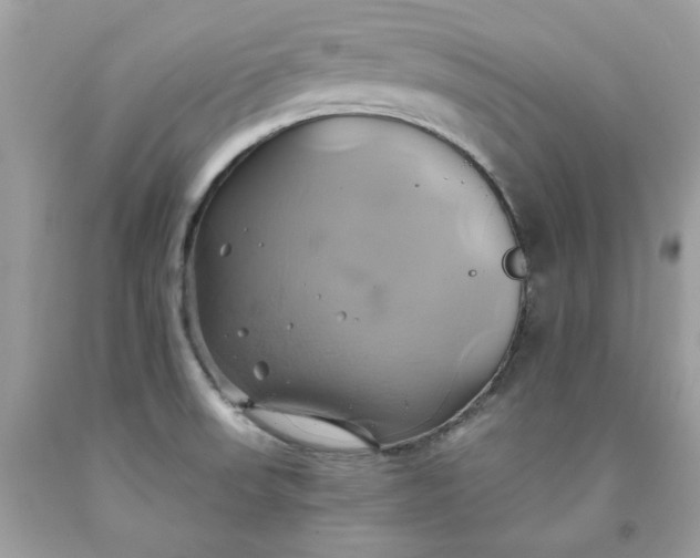 X0000091591523200709051111