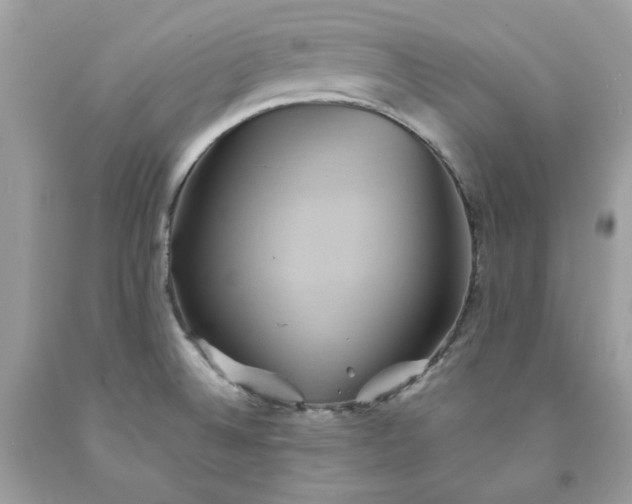 X0000091591524200709051111