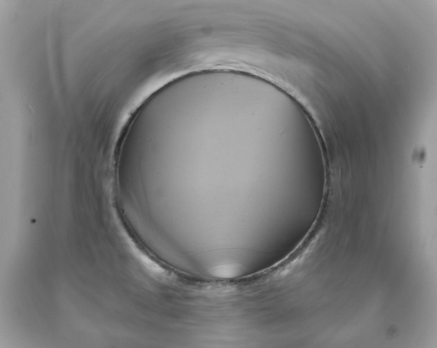 X0000091591525200709051111