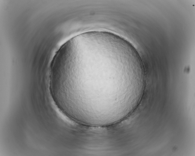 X0000091591526200709051111