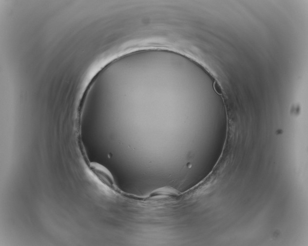 X0000091591527200709051111