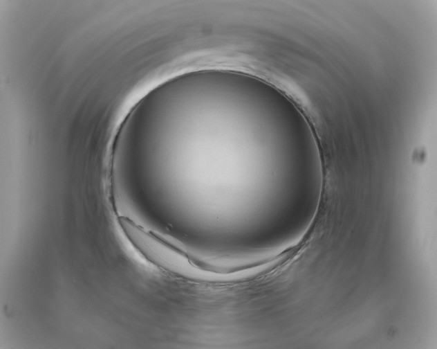X0000091591528200709051111