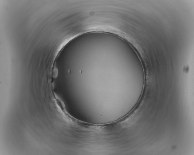 X0000091591529200709051111