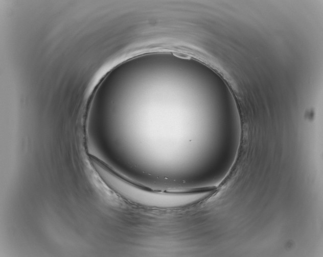 X0000091591530200709051111