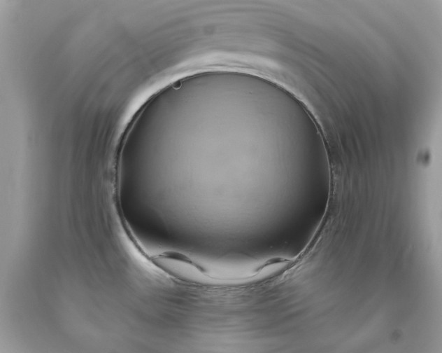 X0000091591531200709051111