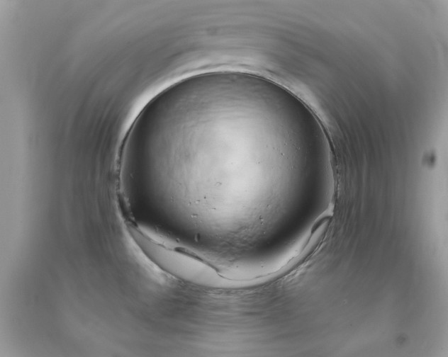 X0000091591532200709051111