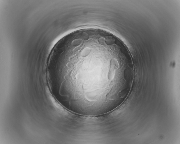 X0000091591534200709051111