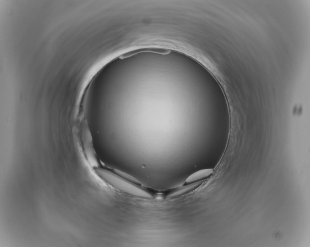 X0000091591536200709051111