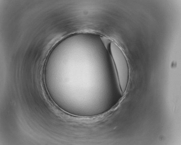 X0000091590001200709101050