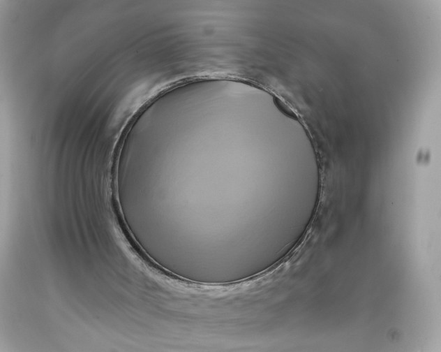 X0000091590002200709101050