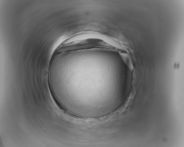 X0000091590003200709101050