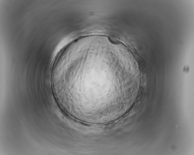 X0000091590004200709101050