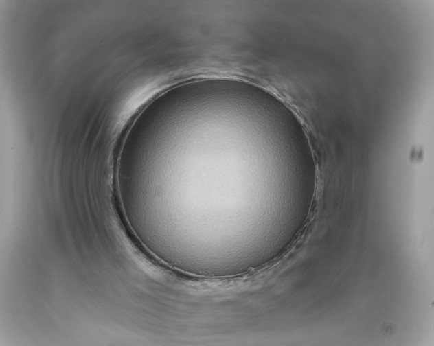 X0000091590005200709101050