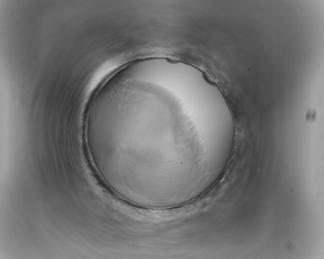 X0000091590006200709101050