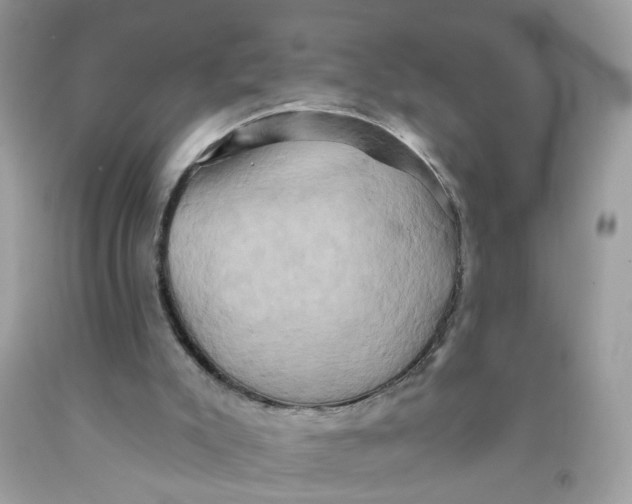 X0000091590007200709101050