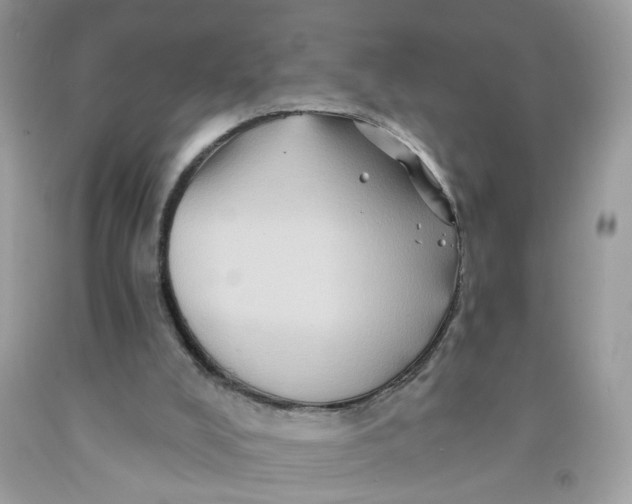 X0000091590008200709101050