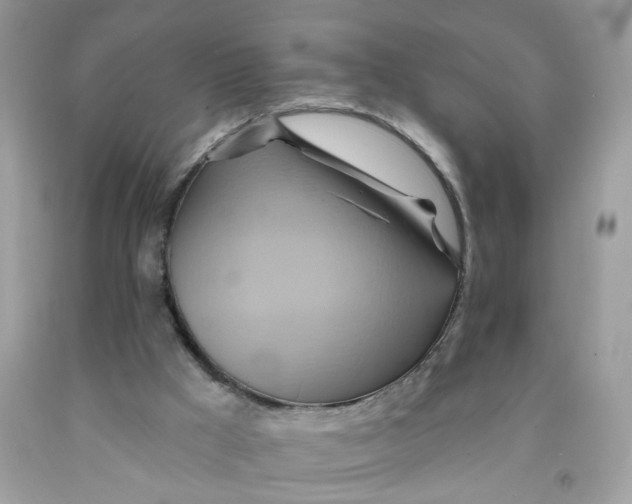 X0000091590009200709101050