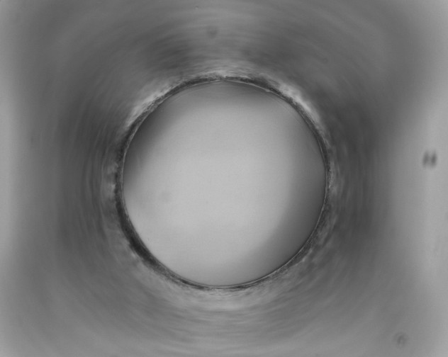 X0000091590010200709101050