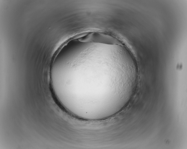 X0000091590011200709101050