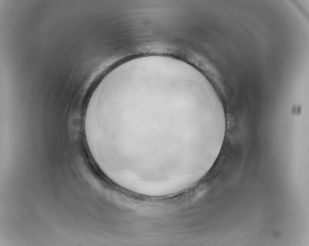 X0000091590012200709101050